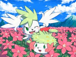 Rule 34 | blush, cloud, commentary request, creatures (company), day, fangs, flower, game freak, gen 4 pokemon, gracidea, green eyes, legendary pokemon, makoto ikemu, mountain, mythical pokemon, nintendo, no humans, one eye closed, open mouth, outdoors, pink flower, pokemon, pokemon (creature), shaymin, shaymin (land), shaymin (sky), sky, smile, tongue