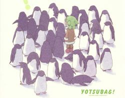 Rule 34 | 1girl, absurdres, arms at sides, azuma kiyohiko, bird, child, copyright name, highres, koiwai yotsuba, odd one out, penguin, scan, solo, standing, yotsubato!