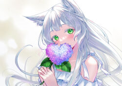 Rule 34 | 1girl, animal ear fluff, animal ears, arknights, blush, cat ears, cat girl, covering own mouth, flower, green eyes, heart, holding, holding flower, hydrangea, long hair, looking at viewer, rosmontis (arknights), solo, tokifuji kougetsu, upper body, white hair