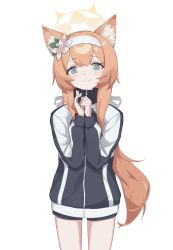 Rule 34 | 1girl, animal ears, black jacket, black shorts, blue archive, blue eyes, breasts, cat ears, closed mouth, ellu, flower, hair flower, hair ornament, hairband, highres, jacket, long hair, looking at viewer, mari (blue archive), mari (track) (blue archive), orange hair, shorts, simple background, small breasts, solo, standing, white background, white hairband