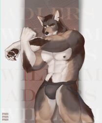 Rule 34 | 1boy, abs, bara, black male underwear, brown theme, bulge, coyote boy, feet out of frame, furry, furry male, highres, jockstrap, large pectorals, looking at viewer, male focus, male underwear, mature male, muscular, muscular male, mutton chops, navel, navel hair, nipples, notched ear, para (parasouleater), pectorals, scar, scar on face, scar on mouth, solo, standing, stomach, stretching, the smoke room, thick eyebrows, thick thighs, thighs, topless male, underwear, william adler (the smoke room)