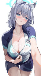 Rule 34 | 1girl, animal ears, aqua eyes, bike shorts, blue archive, blush, breasts, cleavage, collarbone, cycling uniform, grey hair, halo, head tilt, large breasts, looking at viewer, mismatched pupils, naad, official alternate costume, shiroko (blue archive), shiroko (cycling) (blue archive), short sleeves, simple background, solo, sweat, thigh gap, white background, wolf ears, zipper pull tab