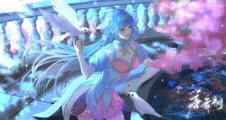 Rule 34 | 1girl, absurdres, artist request, bird, blue hair, cherry blossoms, douluo dalu, earrings, hair bun, hair ornament, highres, jewelry, lantern, leaning forward, light particles, long hair, parted lips, purple eyes, railing, second-party source, tang wutong (douluo dalu), teeth, two-tone dress, upper body, water