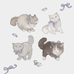 Rule 34 | animal, blue eyes, cat, grey fur, nekosuke (oxo), no humans, original, purple ribbon, ribbon, tail, white background, white fur