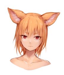 Rule 34 | 1girl, absurdres, animal ears, closed mouth, collarbone, ears down, fox ears, fox girl, highres, looking at viewer, nude, orange hair, original, portrait, red eyes, short hair, simple background, slit pupils, solo, sukemyon, white background