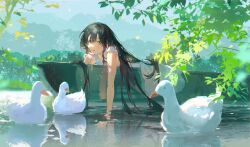 Rule 34 | 1girl, bird, black hair, boat, commentary request, dress, duck, geyegua, green eyes, highres, lake, long hair, looking at viewer, open mouth, original, outdoors, reflection, reflective water, sleeveless, sleeveless dress, smile, solo, tree, very long hair, watercraft, white dress