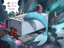 Rule 34 | artist name, capoeira66, dated, english text, fire extinguisher, fish, flower, frieren stuck in a mimic (meme), in container, in refrigerator, meme, mermaid, monster girl, newspaper stack, purple flower, refrigerator, seahorse, sharp teeth, starfish, teeth, the little trashmaid, tidy (the little trashmaid), tongue, tongue out, umbrella, underwear, yellow umbrella