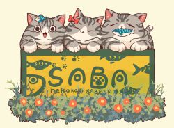 Rule 34 | :3, animal focus, bow, box, cardboard box, cat, cheek-to-cheek, closed eyes, commentary request, facing viewer, fish, fish hair ornament, flower, grass, grey cat, hair bow, hair ornament, heads together, in box, in container, looking at viewer, mouth hold, no humans, oimo imoo, open mouth, original, paw print, red bow, red flower, romaji text, simple background, smile, white background