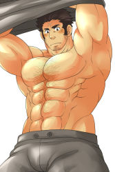 Rule 34 | 1boy, abs, bara, bare pectorals, blush, chest hair, clothes lift, cross scar, facial hair, feet out of frame, goatee, grey pants, grey shirt, houzouin oniwaka, large pectorals, lifting own clothes, long sideburns, looking at viewer, male focus, mature male, muscular, muscular male, navel, no nipples, pants, pectorals, scar, scar on face, scar on forehead, shirt, shirt lift, short hair, sideburns, solo, stomach, stubble, sunfight0201, thick eyebrows, tokyo houkago summoners, undressing, upper body, white background