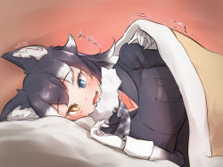 Rule 34 | 1girl, :3, animal ears, bed, blanket, blue eyes, blush, breast pocket, commentary request, denka (denka ilst), gloves, grey hair, grey jacket, grey necktie, grey wolf (kemono friends), heterochromia, highres, jacket, kemono friends, lifting covers, long hair, long sleeves, looking at viewer, lying, multicolored hair, necktie, on side, open mouth, plaid necktie, pocket, solo, translation request, under covers, white gloves, white hair, wolf ears, wolf girl, yellow eyes
