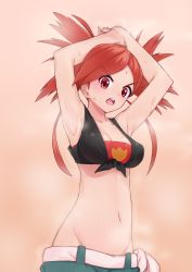 Rule 34 | &gt;:o, 1girl, :o, armpits, arms up, bad id, bad pixiv id, blush, breasts, cleavage, creatures (company), crop top, flannery (pokemon), game freak, groin, gym leader, highres, long hair, looking at viewer, medium breasts, midriff, navel, nintendo, open mouth, pants, pokemon, pokemon oras, ponytail, red hair, shirt, solo, steam, sweat, tied shirt, v-shaped eyebrows, yoi naosuke