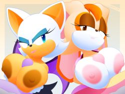 Rule 34 | 2boys, 2girls, angry, annoyed, breasts, competition, furry, huge breasts, large areolae, large breasts, large penis, multiple boys, multiple girls, paizuri, penis, rouge the bat, slickehedge, smirk, smug, sonic (series), vanilla the rabbit
