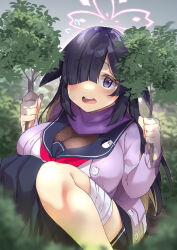 Rule 34 | 1girl, absurdres, bandaged leg, bandages, black hair, blue archive, blunt bangs, blurry, branch, cleavage, colored inner hair, commentary request, depth of field, fishnet fabric, flying sweatdrops, hair over one eye, halo, hiding, highres, holding, holding branch, jacket, kanmuri (kannmuri0227), knees together feet apart, knees up, leaf, long hair, long sleeves, looking at viewer, multicolored hair, ninja, pleated skirt, purple eyes, purple sweater, rabbit girl, rabbit tail, school uniform, see-through, see-through cleavage, serafuku, side slit, sidelocks, sitting, skirt, solo, sweater, sweater jacket, tail, tsukuyo (blue archive), two-tone hair