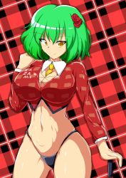 Rule 34 | 1girl, adapted costume, ascot, black panties, borrowed design, breasts, closed mouth, commentary request, crop top, detached collar, flower, green hair, hair flower, hair ornament, highres, kagayama hajime, kazami yuuka, large breasts, long sleeves, midriff, navel, panties, parasol, plaid, plaid background, plaid skirt, race queen, red background, red shirt, shirt, short hair, skirt, smile, stomach, touhou, umbrella, underwear, yellow ascot, yellow eyes