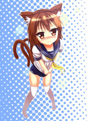 Rule 34 | 1girl, alternate costume, animal ears, blush, brown eyes, brown hair, cat ears, cat girl, cat tail, chen, collarbone, female focus, from above, highres, karasu10gu, looking at viewer, looking up, multiple tails, neckerchief, nose blush, one-piece swimsuit, school swimsuit, school uniform, serafuku, shirt tug, short hair, solo, standing, swimsuit, swimsuit under clothes, tail, thighhighs, touhou, two tails, white thighhighs, zettai ryouiki