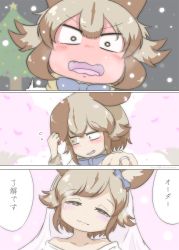 Rule 34 | 1girl, african wild dog (kemono friends), akion (chibaibaraki), animal ears, bad id, bad pixiv id, bare shoulders, blush, bow, bowtie, bridal veil, bride, brown eyes, brown hair, cherry blossoms, christmas tree, closed mouth, comic, commentary request, constricted pupils, dog ears, dress, embarrassed, fang, flying sweatdrops, full-face blush, hair bow, half-closed eyes, happy, head tilt, highres, jewelry, kemono friends, light brown hair, long sleeves, looking at viewer, looking to the side, medium hair, multicolored hair, off-shoulder dress, off shoulder, open mouth, parted bangs, portrait, ring, smile, snowing, solo, spring (season), tearing up, translation request, two-tone hair, v-shaped eyebrows, veil, wavy mouth, winter