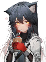 Rule 34 | 1girl, absurdres, animal ear fluff, animal ears, arknights, black hair, black shirt, blush, commentary, cup, drinking, gloves, hair between eyes, heart, highres, holding, holding cup, jacket, long hair, long sleeves, looking at viewer, open clothes, open jacket, red gloves, shirt, solo, tab head, texas (arknights), texas (winter messenger) (arknights), white jacket, wolf ears, yellow eyes