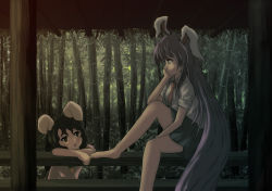 Rule 34 | 2girls, animal ears, bamboo, bamboo forest, barefoot, black hair, bored, rabbit ears, dark, feet, female focus, forest, hand on own cheek, hand on own face, inaba tewi, knj, leaning, long hair, multiple girls, nature, necktie, purple hair, rail, railing, reisen udongein inaba, short hair, touhou, very long hair