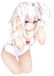 Rule 34 | 1girl, animal ears, bare shoulders, blue eyes, blush, breasts, rabbit ears, rabbit tail, fake animal ears, fishnet pantyhose, fishnets, hair ornament, hairclip, highres, leotard, long hair, looking at viewer, original, otokuyou, pantyhose, playboy bunny, ringo-chan (haegiwa), ringo-chan (otokuyou), simple background, small breasts, solo, tail, white background, white hair, wrist cuffs