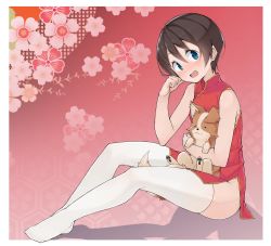 Rule 34 | 1girl, blue eyes, china dress, chinese clothes, dog, dress, full body, hair between eyes, highres, mzrz, open mouth, saitou ena, short hair, sitting, smile, solo, thighhighs, white thighhighs, yurucamp
