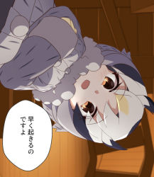 Rule 34 | blonde hair, blush, coat, commentary request, crossed arms, from below, fur collar, fur trim, gloves, grey hair, hair between eyes, hakusai o m t, kemono friends, long sleeves, looking at viewer, multicolored hair, northern white-faced owl (kemono friends), orange eyes, pov, short hair, speech bubble, translated, white fur, white hair, winter clothes, winter coat, yellow gloves