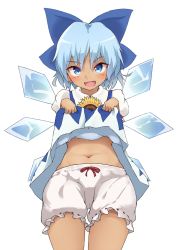 Rule 34 | 1girl, bloomers, blue bow, blue eyes, blue hair, blush, bow, cirno, clothes lift, daidaiiro, dress, dress lift, flower, hidden star in four seasons, highres, ice, ice wings, looking at viewer, navel, open mouth, sunflower, tan, tanned cirno, touhou, underwear, wings