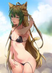 Rule 34 | 1girl, ahoge, animal ears, atalanta (fate), beach, bikini, black bikini, blonde hair, blue sky, breasts, cat ears, cat tail, cloud, commentary request, day, fate/apocrypha, fate (series), green hair, hand on own hip, hand up, highres, long hair, looking to the side, medium breasts, multicolored hair, navel, open mouth, outdoors, shiny skin, sky, solo, standing, swimsuit, tail, tanaka arumi, two-tone hair, untied bikini, yellow eyes