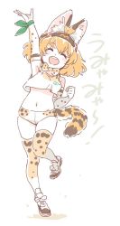 Rule 34 | 10s, 1girl, animal ears, armpits, blonde hair, bow, bowtie, buruma, commentary request, elbow gloves, gloves, headband, kemono friends, mitsumoto jouji, open mouth, ribbon, serval (kemono friends), serval print, serval tail, shoes, smile, sneakers, solo, sports bikini, sports bra, sportswear, standing, standing on one leg, tail, thighhighs, translation request, wrist ribbon