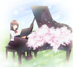 Rule 34 | 1girl, 7 calpis 7, black footwear, black sailor collar, black skirt, blush, bow, bowtie, breasts, brown hair, brown pantyhose, cherry blossoms, closed eyes, closed mouth, commentary request, flower, grand piano, grass, highres, instrument, loafers, long hair, music, original, pantyhose, petals, piano, piano bench, pink flower, playing instrument, pleated skirt, red bow, red bowtie, sailor collar, school uniform, serafuku, shirt, shoes, sitting, skirt, small breasts, smile, solo, spring (season), very long hair, white shirt