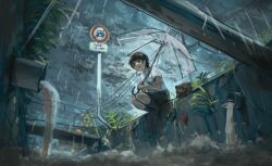 Rule 34 | 1girl, absurdres, anko1127, black eyes, black hair, black skirt, black socks, bridge, canal, collared shirt, commentary request, crayfish, drainpipe, from below, highres, holding, holding umbrella, industrial pipe, kneehighs, looking down, open mouth, original, outdoors, over shoulder, overcast, power lines, railroad signal, rain, road sign, scenery, school uniform, shirt, short hair, short sleeves, sign, skirt, sky, socks, solo, squatting, transparent, transparent umbrella, turtleneck, umbrella, water, weeds, white shirt