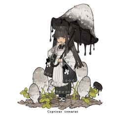 Rule 34 | 1girl, apron, black bow, black bowtie, black hair, blush, bow, bowtie, brown eyes, covered mouth, hand to own mouth, hand up, holding, holding umbrella, japanese clothes, kimono, long hair, looking ahead, mary janes, mushroom, mushroom girl, mushroom umbrella, original, personification, plant, scientific name, shoes, starshadowmagician, umbrella, white background, white bow, white footwear