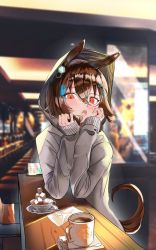 Rule 34 | 1girl, agnes tachyon (umamusume), alternate costume, animal ears, blurry, blurry background, blush, brown hair, chair, coffee, counter, cup, elbow rest, grey hoodie, highres, hood, hoodie, horse ears, horse girl, horse tail, indoors, looking at viewer, napkin, open mouth, orange eyes, plate, sleeves past wrists, solo, sugar cube, table, tail, umamusume, yomean!