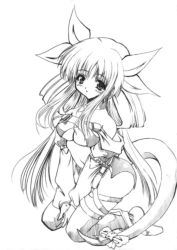 Rule 34 | arc system works, blush, dizzy (guilty gear), greyscale, guilty gear, monochrome, ribbon, sketch, solo, tail, thighhighs
