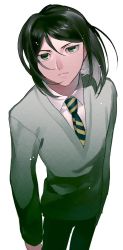 Rule 34 | 1boy, black hair, blouse, collared shirt, fate/zero, fate (series), foreshortening, green eyes, green hair, hair between eyes, hair intakes, highres, long hair, looking up, makimura (miwmiw-cage), male focus, necktie, parted bangs, shirt, simple background, solo, striped necktie, waver velvet, white background, white shirt