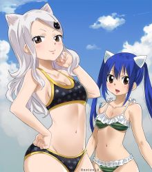 Rule 34 | 2girls, animal ears, bikini, blue hair, blue sky, blush, breasts, brown eyes, cat ears, charle (fairy tail), collarbone, fairy tail, gaston18, hair between eyes, hand on own hip, highres, long hair, medium breasts, multiple girls, sky, small breasts, standing, swimsuit, tagme, twintails, wendy marvell, white hair, wide hips
