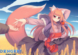 Rule 34 | 00s, animal ears, cowboy shot, day, holo, koume keito, outdoors, solo focus, spice and wolf, standing, tail, watermark, web address, wheat, wolf ears, wolf tail