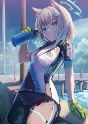Rule 34 | 1girl, arm support, biker clothes, blue archive, blue eyes, blue sky, blush, bottle, breasts, bridge, bright pupils, clothes writing, cloud, commentary request, cowboy shot, day, gloves, green gloves, halo, highres, holding, holding bottle, leaning back, looking at viewer, mismatched pupils, outdoors, parted lips, shiroko (blue archive), shiroko (cycling) (blue archive), short hair, short sleeves, silver hair, sky, small breasts, solo, sunlight, takashima shoa, water