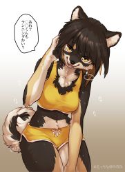Rule 34 | 1girl, absurdres, adjusting hair, animal ears, black fur, black hair, breath, brown eyes, brown hair, dog ears, dog girl, dog tail, dolphin shorts, female focus, furry, furry female, gradient background, grey background, heavy breathing, highres, ingi, leaning to the side, looking at viewer, multicolored hair, navel, open mouth, orange shorts, original, shorts, solo, sports bra, sweat, tail, teeth, white fur