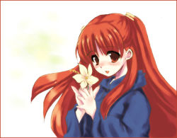 Rule 34 | 00s, 1girl, anya cocolova, blush, flower, hood, hoodie, long hair, mahou sensei negima!, own hands clasped, own hands together, red eyes, red hair, smile, solo, twintails