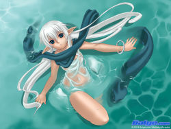 Rule 34 | 1girl, 2004, blue eyes, bracelet, dated, from above, galge.com, green eyes, jewelry, long hair, mattaku mousuke, pointy ears, see-through, solo, wallpaper, water, wet, wet clothes, white hair