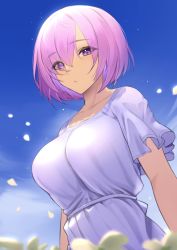 Rule 34 | 1girl, :o, absurdres, alternate costume, blue sky, breasts, dress, fate/grand order, fate (series), field, flower, flower field, highres, looking at viewer, lordol, mash kyrielight, puffy short sleeves, puffy sleeves, purple eyes, purple hair, short hair, short sleeves, sky, solo