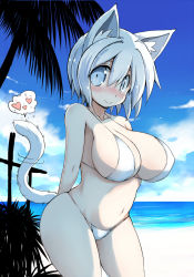 Rule 34 | smile, animal ear fluff, animal ears, arms behind back, bare arms, bare shoulders, beach, belly, bikini, blue eyes, blue sky, blush, breasts, cleavage, closed mouth, cloud, cloudy sky, collarbone, contrapposto, cowboy shot, day, dog ears, dog girl, from side, hair between eyes, heart, highres, in heat, large breasts, looking at viewer, midriff, navel, nose blush, ocean, original, outdoors, pale skin, palm tree, sakaki (noi-gren), short hair, silver hair, sky, smile, spoken heart, standing, string bikini, sunlight, swimsuit, tail, tail raised, tail wagging, tree, white bikini