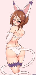 Rule 34 | 1girl, absurdres, animal ears, arm under breasts, ass, back, bikini, breasts, brown eyes, brown hair, cat ears, cat tail, cosplay, digimon, elbow gloves, fake animal ears, fake tail, feet out of frame, female focus, from behind, gloves, grin, highres, looking at viewer, looking back, maikoxsekai, medium breasts, medium hair, petite, pink background, simple background, smile, solo, standing, swimsuit, tail, tailmon, tailmon (cosplay), teeth, thigh strap, white bikini, yagami hikari
