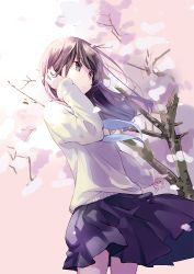 Rule 34 | 1girl, black skirt, brown hair, cherry blossoms, closed mouth, commentary request, cowboy shot, floating hair, from side, grey sweater, tucking hair, hand up, kuga tsukasa, long sleeves, original, school uniform, serafuku, skirt, solo, standing, sweater, tree, wind, wind lift