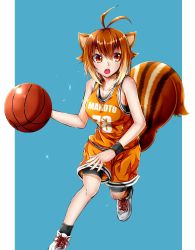 Rule 34 | 1girl, animal ears, antenna hair, ball, basketball, basketball (object), basketball uniform, blazblue, breasts, brown hair, chukachuka, cleavage, highres, jersey, large breasts, looking to the side, makoto nanaya, multicolored hair, open mouth, orange eyes, shoes, short hair, shorts, sneakers, solo, sports bra, sportswear, squirrel ears, squirrel tail, sweat, tail, two-tone hair, wristband