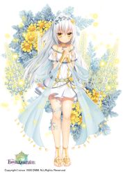 Rule 34 | 1girl, barefoot sandals (jewelry), blush, closed mouth, commentary request, copyright name, dress, flower, flower knight girl, full body, hair between eyes, high ponytail, long hair, looking at viewer, name connection, object namesake, off-shoulder dress, off shoulder, official art, own hands clasped, own hands together, ponytail, sacraneco, shawl, shirotaegiku (flower knight girl), silver hair, smile, solo, standing, very long hair, white background, white dress, yellow eyes, yellow flower