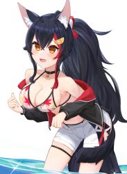 Rule 34 | 1girl, absurdres, animal ear fluff, animal ears, belt collar, bikini, black collar, black hair, black jacket, breasts, cleavage, collar, cropped jacket, fangs, floral print, highres, hololive, jacket, large breasts, long hair, looking at viewer, multicolored hair, oksuri, ookami mio, ookami mio (hololive summer 2019), orange eyes, red hair, red jacket, short shorts, shorts, streaked hair, swimsuit, tail, thigh strap, thumbs up, two-sided fabric, two-sided jacket, virtual youtuber, wading, water, white background, white bikini, white shorts, wolf ears, wolf girl, wolf tail