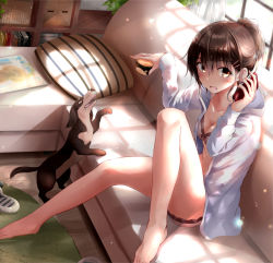 Rule 34 | 1girl, absurdres, animal, bare legs, barefoot, blush, book, bra, breasts, brown eyes, brown hair, carpet, cleavage, collarbone, commentary request, couch, cup, dachshund, day, dog, from side, fuu (fuore), hair between eyes, hair ornament, hairclip, highres, holding, holding cup, holding phone, hood, hood down, hoodie, indoors, knee up, light particles, living room, long sleeves, looking at viewer, looking to the side, on couch, open clothes, open hoodie, open mouth, original, panties, phone, pillow, plant, potted plant, revision, shelf, short ponytail, sitting, slippers, unworn slippers, small breasts, solo, striped pillow, sunlight, tareme, underwear, white bra, white panties, window