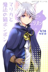 Rule 34 | 1boy, animal ears, brown gloves, cape, cat, cat ears, closed mouth, copyright request, cowboy shot, gloves, gradient hair, grey hair, hand on own hip, highres, kuga tsukasa, looking at viewer, medium hair, multicolored hair, purple cape, purple eyes, solo, sparkle