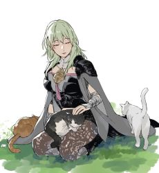 Rule 34 | 1girl, abinosu0903, armor, boots, breasts, byleth (female) (fire emblem), byleth (fire emblem), cat, fire emblem, fire emblem: three houses, green hair, jacket, lap pillow, large breasts, nintendo, pantyhose, petting, shorts, shoulder armor, sitting, smile